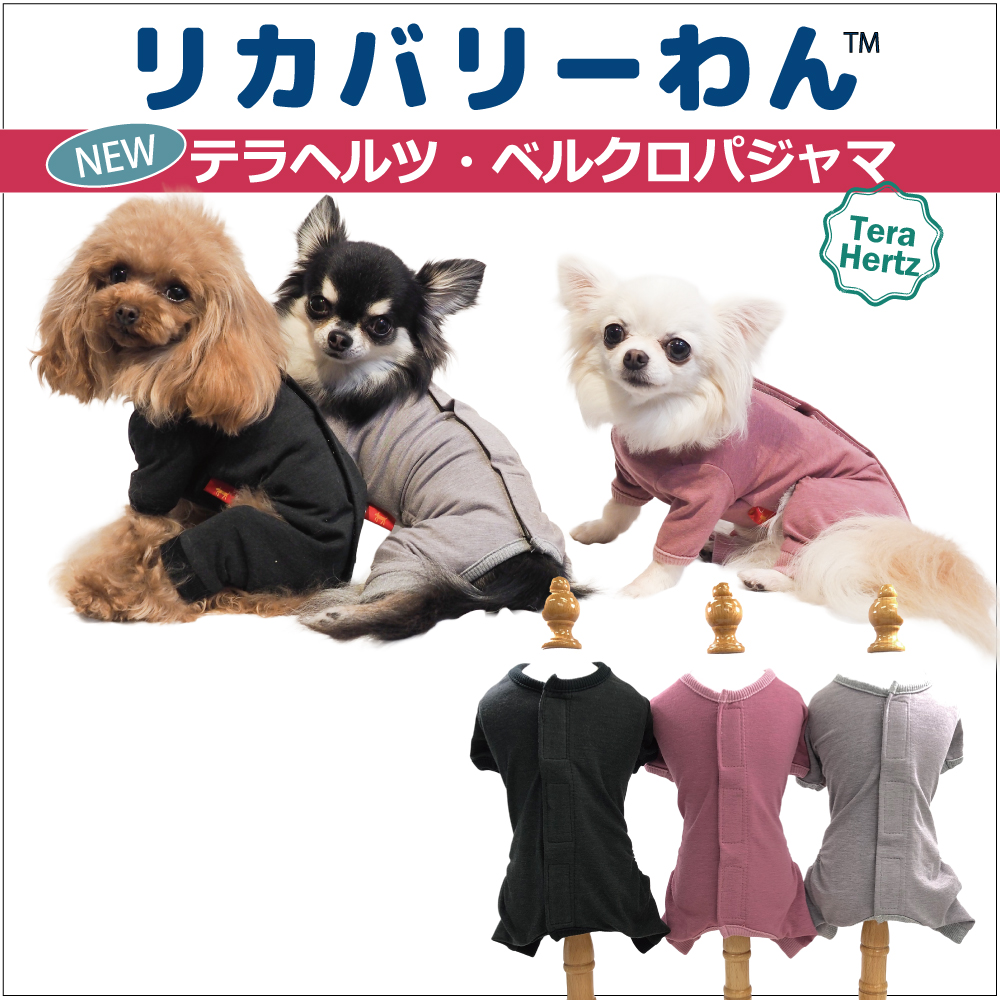 犬リカバリーウェア　着脱ラクチン【テラヘルツ・ベルクロパジャマ】（３色）50053[犬服][SSからSL] 背中開きパジャマ