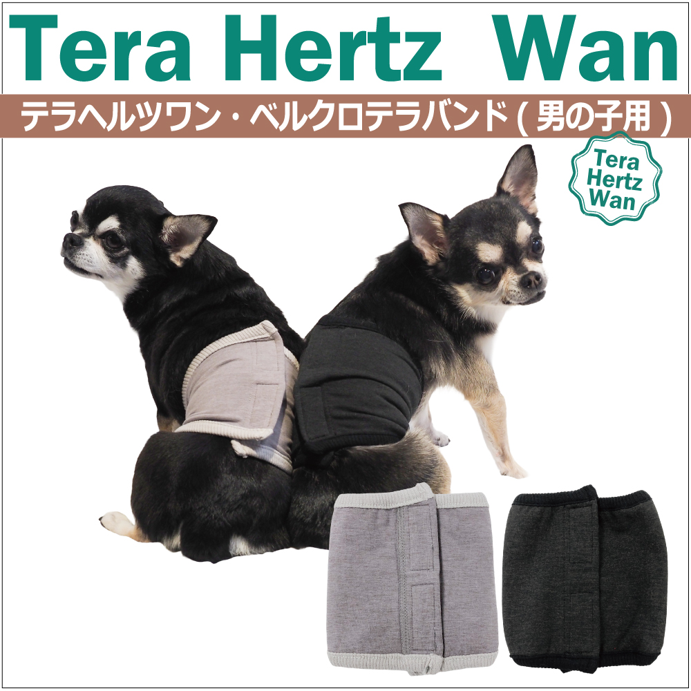 【 テラヘルツワン・ベルクロテラバンド男の子用腹巻き】(腹巻き(2色) 7220[犬腹巻き][SSから3L]