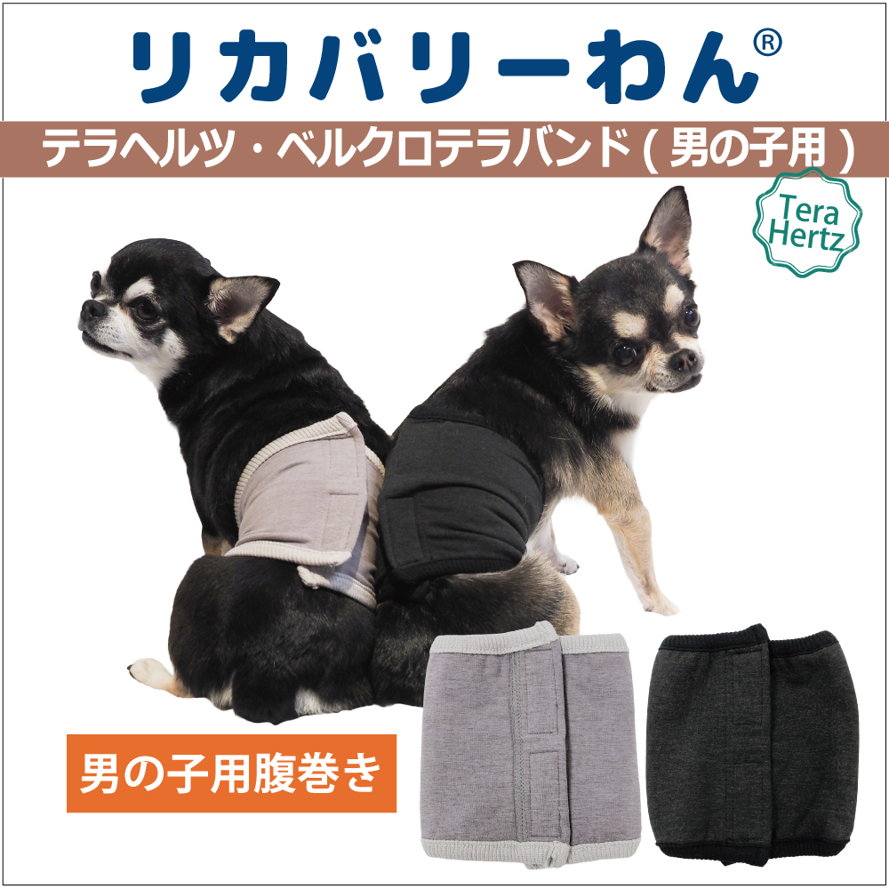 リカバリーワン通年ウェア&グッズ