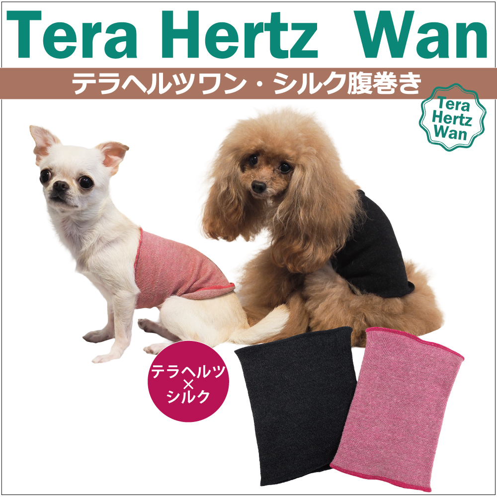 ヘルニアやお腹の弱い子にオススメ！大人気商品 【テラヘルツ