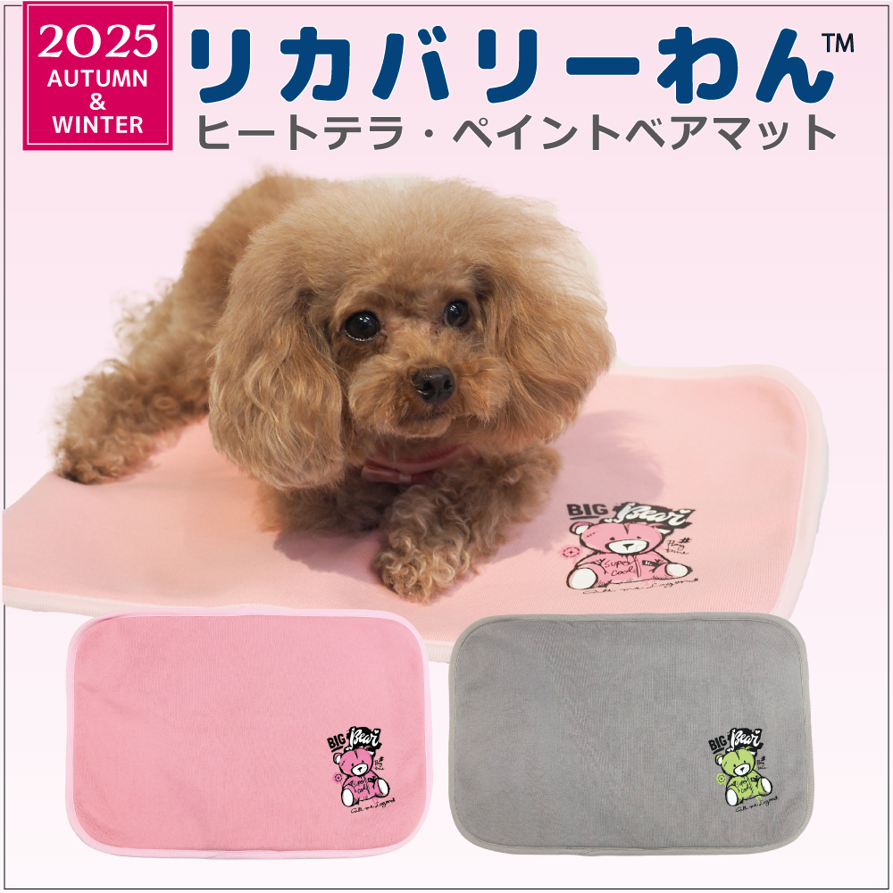 発売中】犬リカバリーグッズ 2025クークチュール秋冬新作 【ヒートテラ