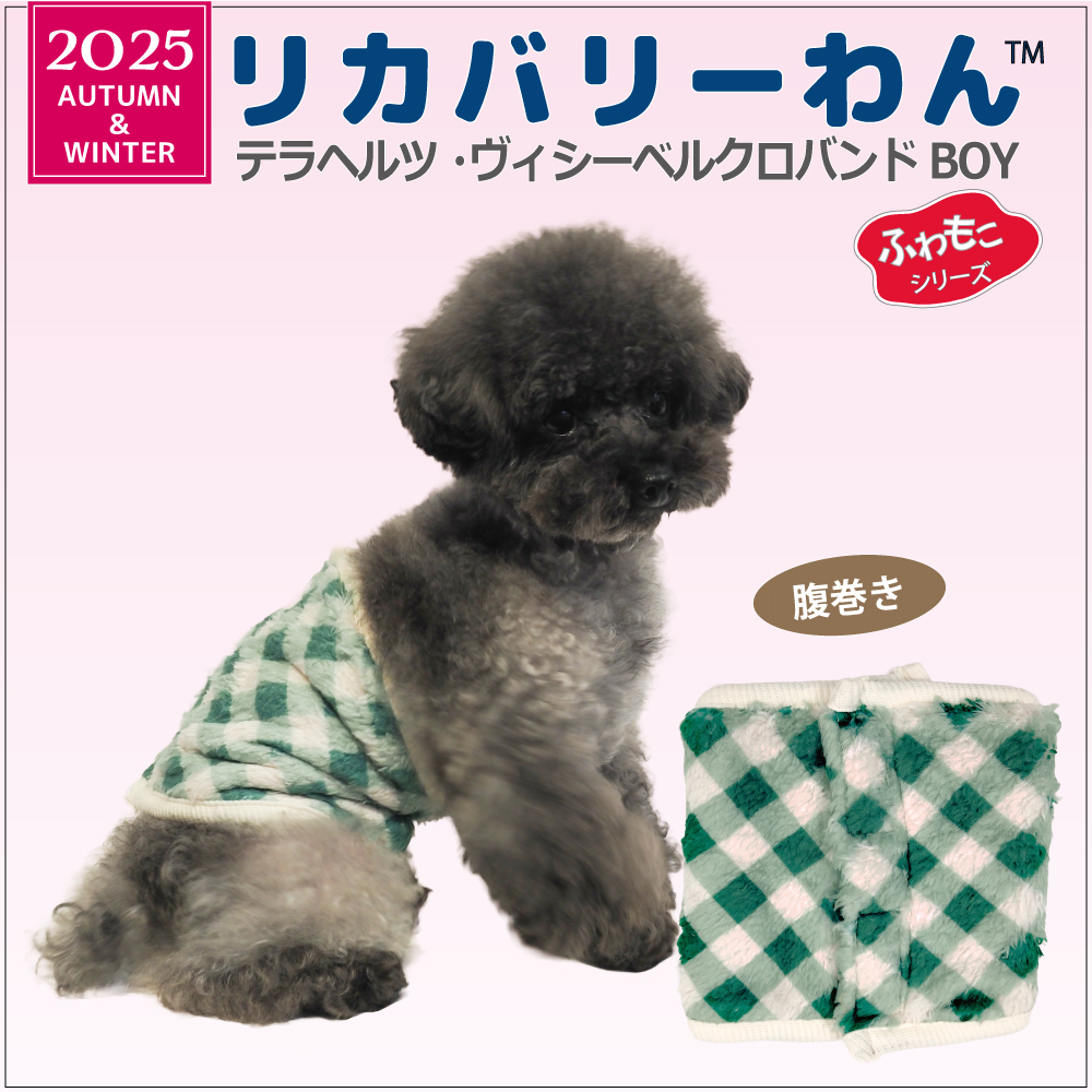 2025クークチュール秋冬新作 【テラヘルツワン・ヴィシーベルクロテラバンドBOY】