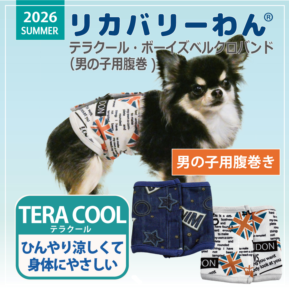 BON APPETIT 犬服 2枚　血行促進　老廃物除去　テラヘルツ使用生地 6/1入荷】2026夏物新作ベルクロテラバンド 犬リカバリーグッズ[熱中症