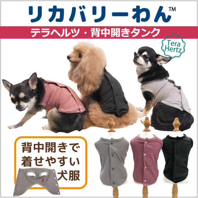 【2/26再入荷】犬リカバリーウェア  ロングセラー人気商品♪【テラヘルツ・背中開きタンク】（３色）12015[犬服][SSからSL] ネコポス便OK♪ 背中ボタンタンク シニア犬 犬介護服