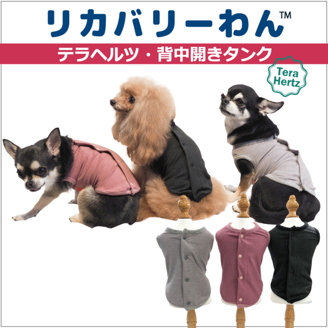 犬リカバリーウェア   ロングセラー人気商品♪【テラヘルツ・背中開きタンク】（３色）12015[犬服][SSからSL]  背中ボタンタンク 