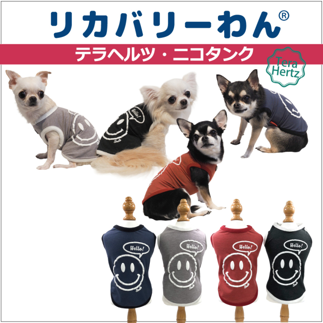 リカバリーワン通年ウェア&グッズ