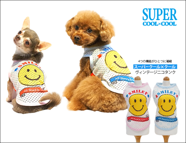 2020スーパークール×クール12280