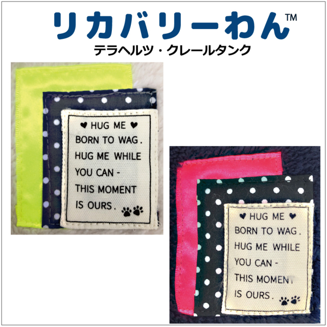 2025クークチュール秋冬新作 【テラヘルツ・クレールタンク】（2色）12495[犬服][SSから3L]犬タンクトップ