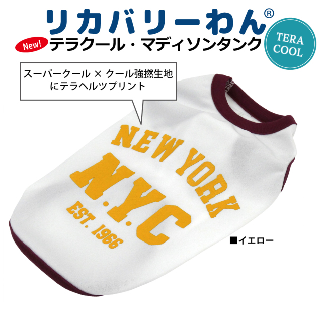 rマーク入り2026夏物新作