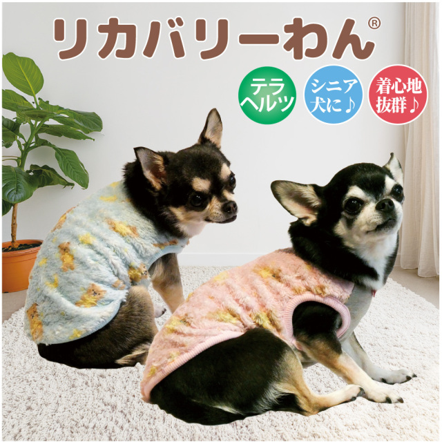 【発売中】犬リカバリーウェア 2026クークチュール秋冬新作 【テラヘルツ・スターハグベアタンク】[SSから3L/FBM/FBL]（2色）12518[犬服]