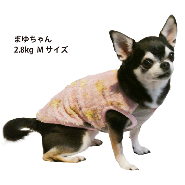 テラヘルツ・スターハグベアタンク