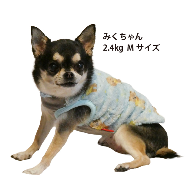 テラヘルツ・スターハグベアタンク