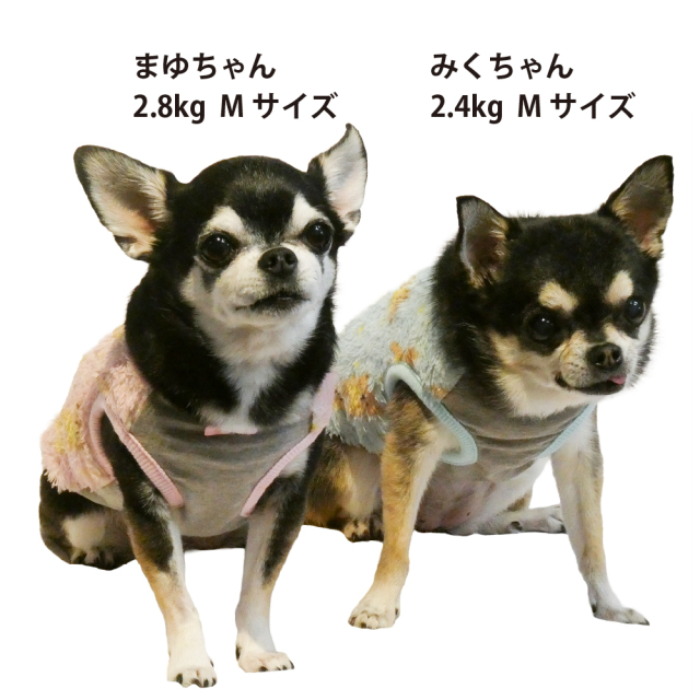 テラヘルツ・スターハグベアタンク