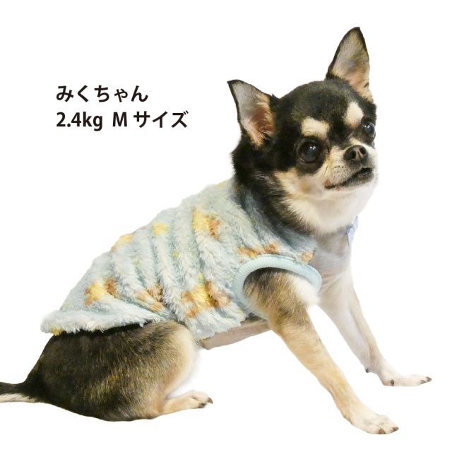 テラヘルツ・スターハグベアタンク