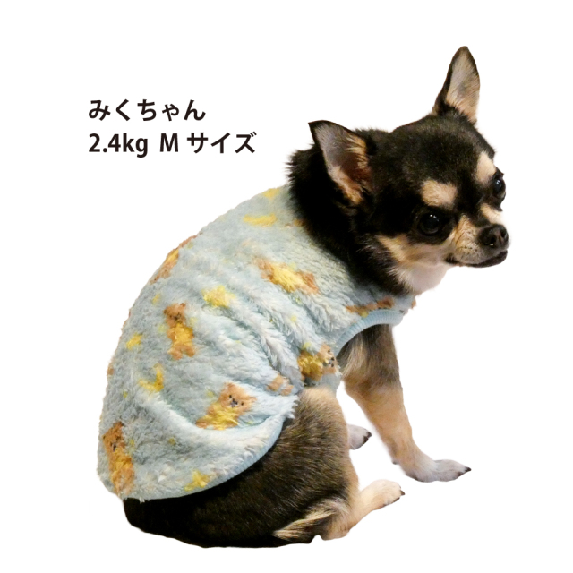 テラヘルツ・スターハグベアタンク
