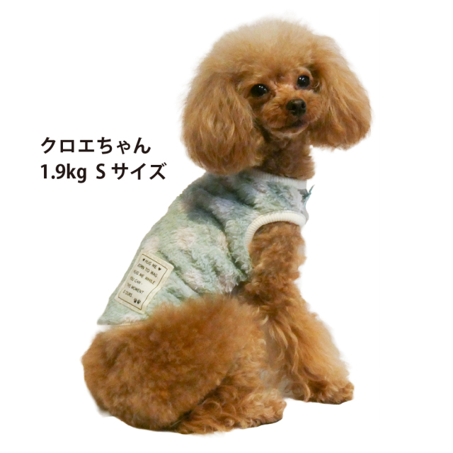 テラヘルツ・マカロンドットタンク