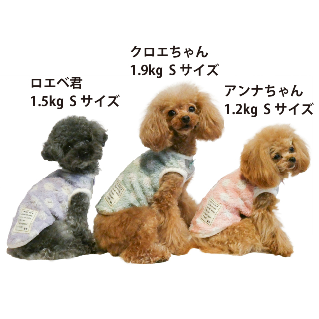 テラヘルツ・マカロンドットタンク