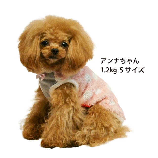 テラヘルツ・マカロンドットタンク