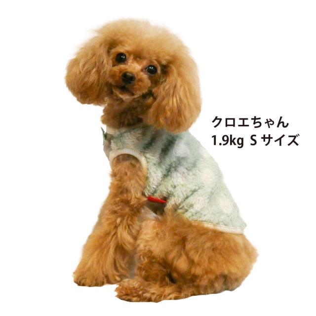テラヘルツ・マカロンドットタンク