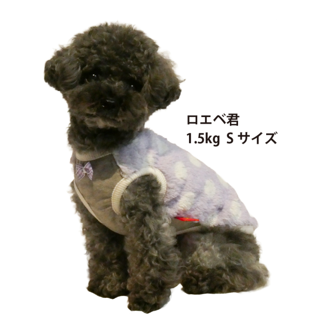 テラヘルツ・マカロンドットタンク