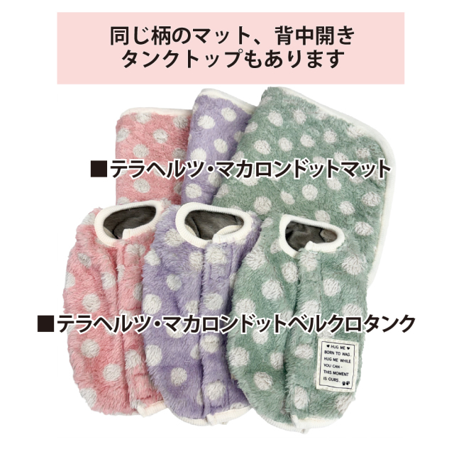 テラヘルツ・マカロンドットタンク