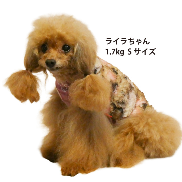 テラヘルツ・ブローイングベアタンク