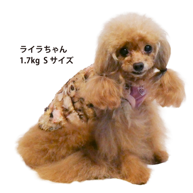 テラヘルツ・ブローイングベアタンク