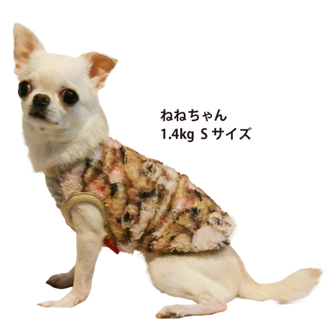 テラヘルツ・ブローイングベアタンク
