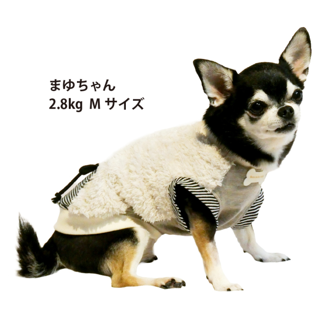 テラヘルツ・コージーポケットタンク