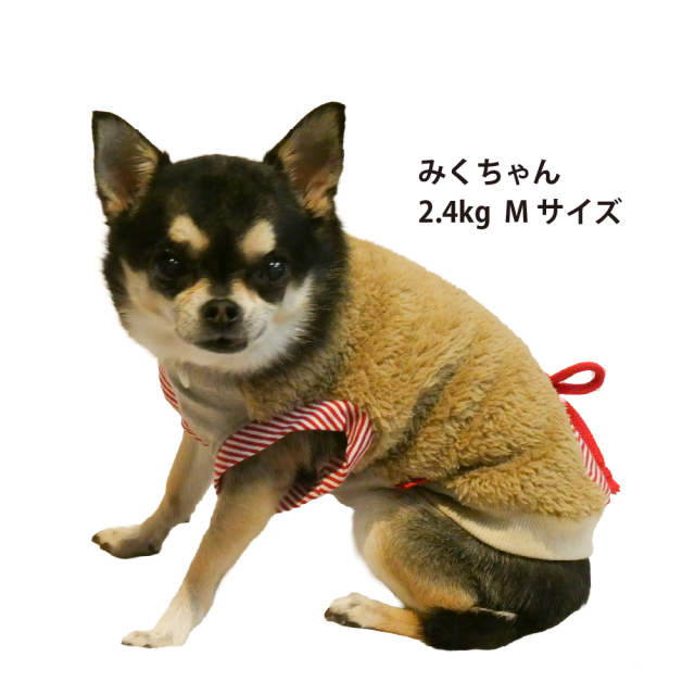 テラヘルツ・コージーポケットタンク