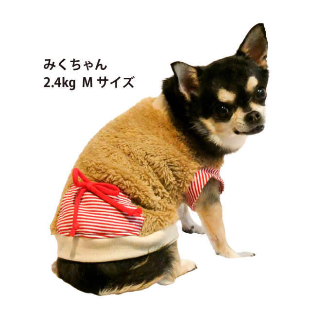 テラヘルツ・コージーポケットタンク