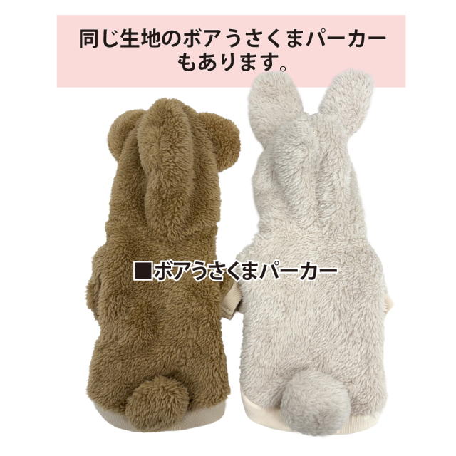 テラヘルツ・コージーポケットタンク