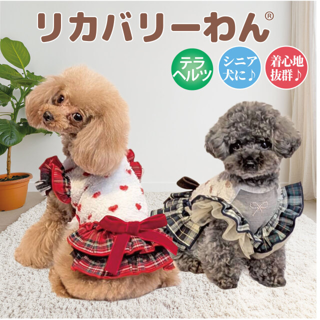 テラヘルツ・ホイップハートワンピ