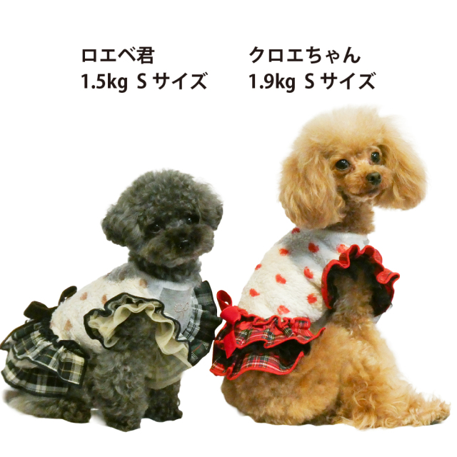 テラヘルツ・ホイップハートワンピ