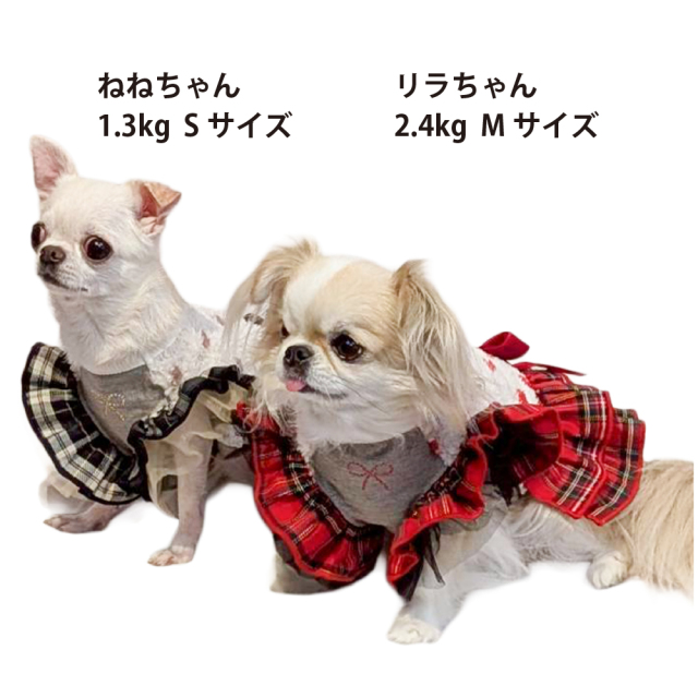 テラヘルツ・ホイップハートワンピ