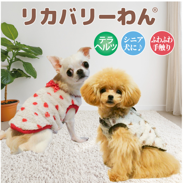 【10月中旬から下旬入荷予定】犬リカバリーウェア 2026クークチュール秋冬新作 【テラヘルツ・ホイップハートベルクロタンク】[SSから3L]（2色）12524[犬服]