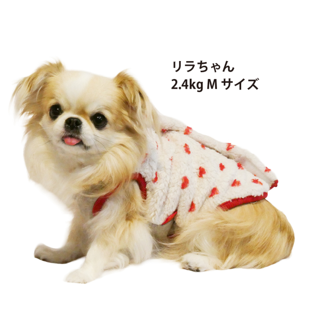 テラヘルツ・ホイップハートベルクロタンク