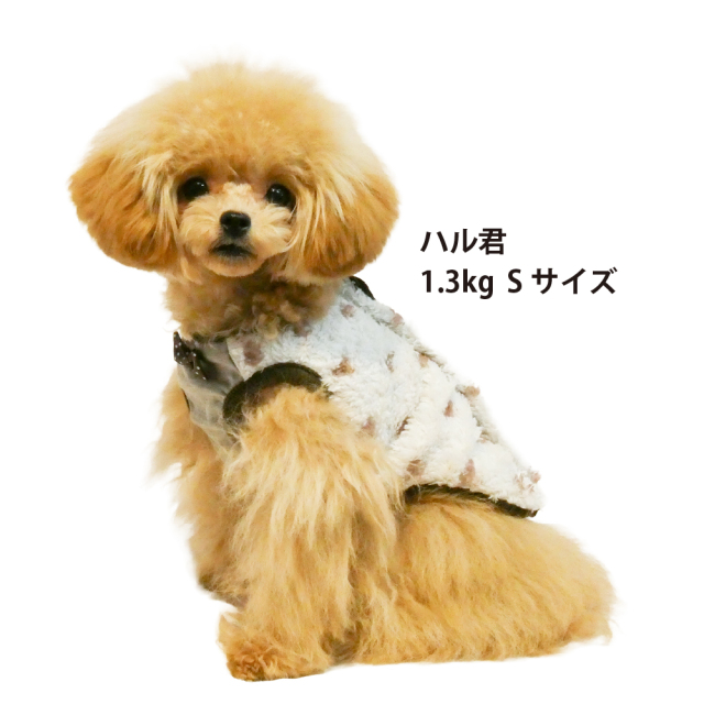 テラヘルツ・ホイップハートベルクロタンク