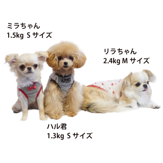 テラヘルツ・ホイップハートベルクロタンク