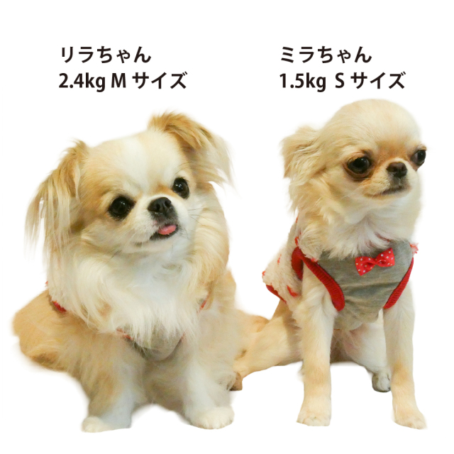 テラヘルツ・ホイップハートベルクロタンク