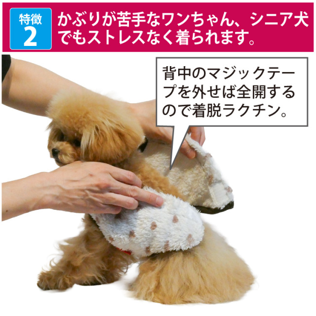 テラヘルツ・ホイップハートベルクロタンク