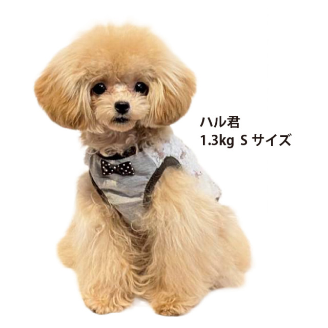 テラヘルツ・ホイップハートベルクロタンク