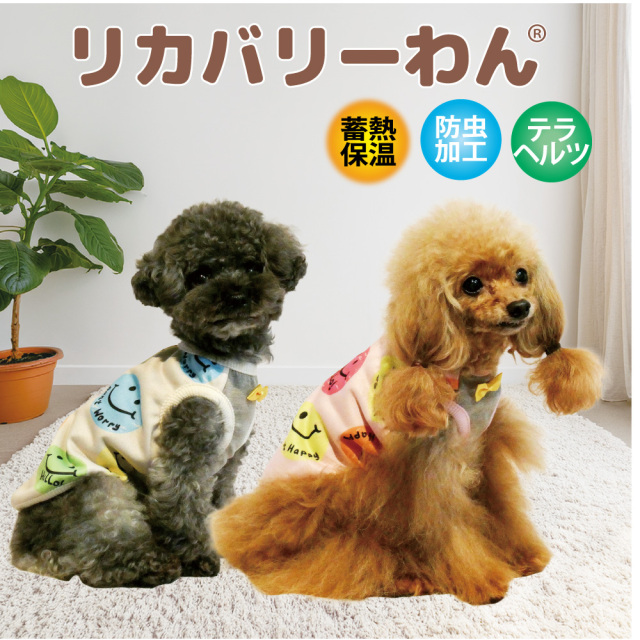 発売中】犬リカバリーウェア 2026クークチュール秋冬新作 【ヒートテラ