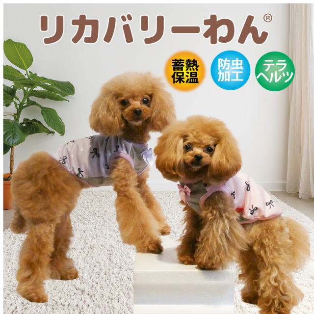 【9月中旬から下旬入荷予定】犬リカバリーウェア 2026クークチュール秋冬新作 【ヒートテラ・リボンキャンディータンク】[SSから3L/FBM/FBL]（2色）12526[犬服]