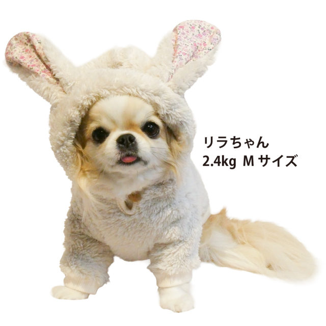 ボアうさくまパーカー