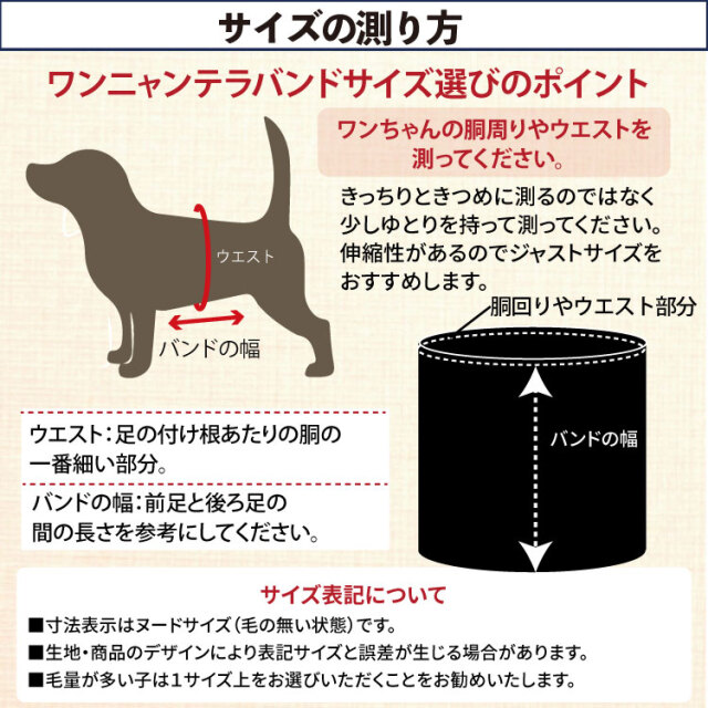 犬リカバリーグッズ 爆売れ人気商品! 【テラヘルツ・ワンニャンテラ