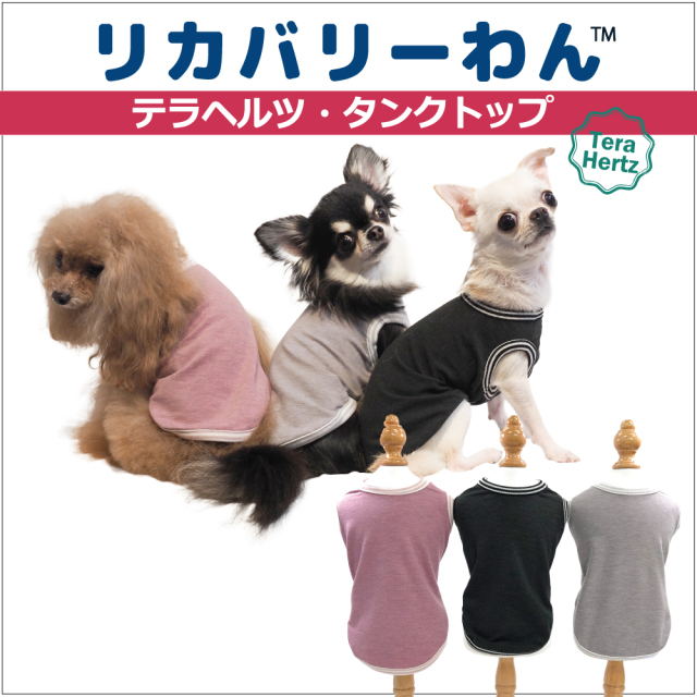 犬リカバリーウェア　めちゃ売れ人気商品♪ 【テラヘルツ・タンクトップ】（３色）50044[犬服][SSからSL]  犬タンクトップ