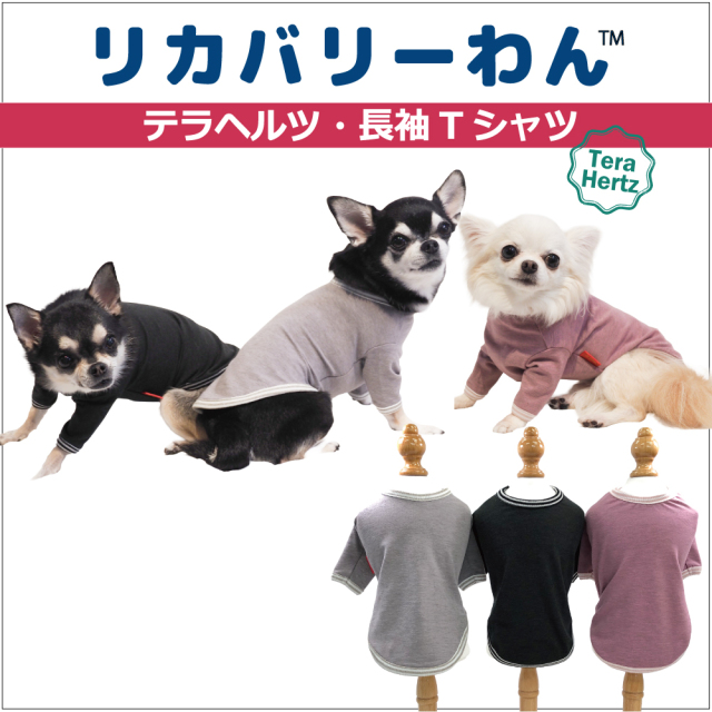 犬リカバリーウェア　めちゃ売れ人気商品♪【テラヘルツ・長袖Tシャツ】（3色）50045[犬服][SSからSL] 犬Tシャツ