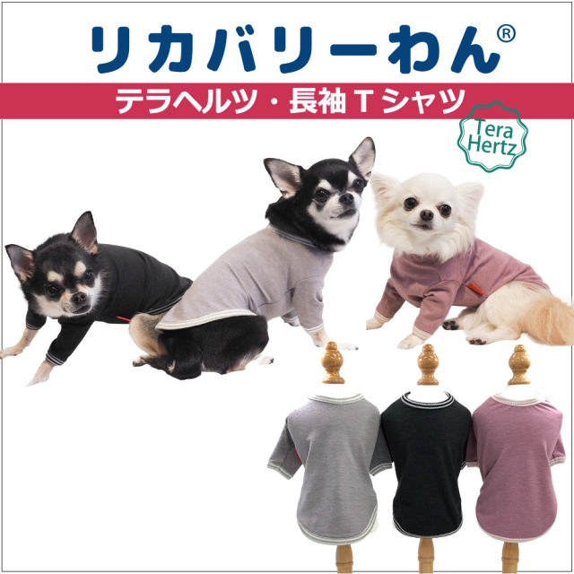 リカバリーワン通年ウェア&グッズ