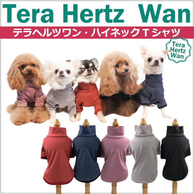 【テラヘルツワン・ハイネックTシャツ】(5色) 50051[犬服][SSから3L]